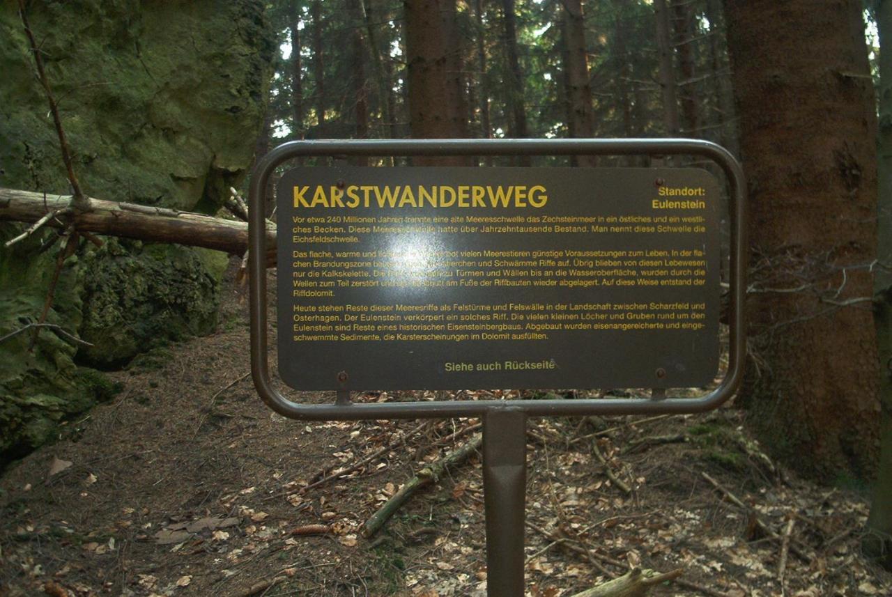 Ferienwohnungen Stricker Harz Walkenried Exterior foto