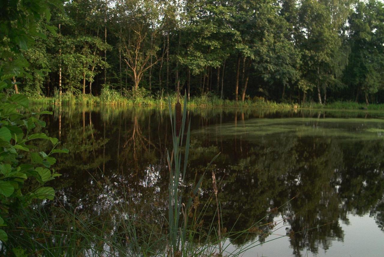 Ferienwohnungen Stricker Harz Walkenried Exterior foto